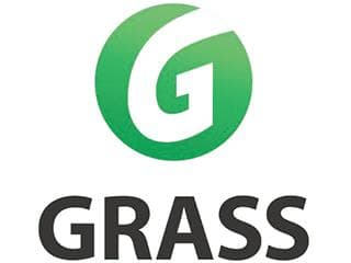 Grass