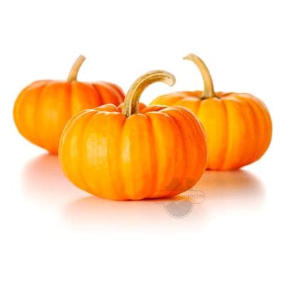 Kädi gök "Bakja", 3 - 5 kg