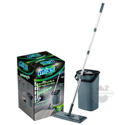 Arassaçylyk toplumy "Miss Terix" çal (şwabra, bedre)