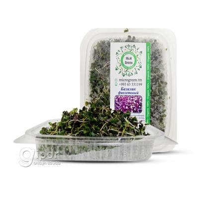 Micro Green "Базилик фиолетовый", 50 gr (±5 gr)